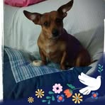 Irma Haynes - Facebook