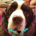 Irma Holt - Facebook