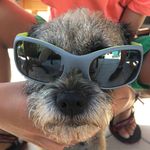 Irma - @irma.holtkamp - Instagram