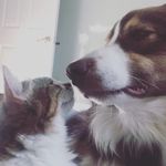 Hunter•Chase•Irma•Greyson - @hunter_irma_ - Instagram