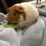 Irma Islas - @irma.islas.16503 - Instagram