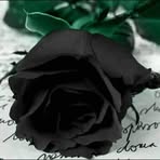 Irma Jacobo - Facebook