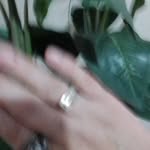Irma Jacobo Garcia - @jacobogarciairma - Instagram