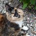 Irma Jensen - Facebook