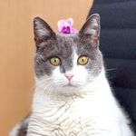 Irma Ayyildiz - @irma_katze - Instagram