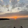 irma - @irma.delange - TikTok