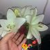 Irma Ledesma - Facebook