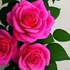 Irma Lemus - @irma.lemus82 - TikTok