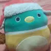 Irma Lemus - @elpeluche941 - TikTok