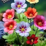 Irma Limon García - @irmalimon468 - Instagram