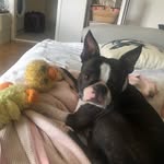Lotti Girl - @irmalotte2020 - Instagram