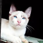 Irma Lucio - @irmalucio20 - Instagram