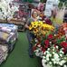 Irma Maciel - Facebook