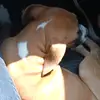 Irma Madrigal932 - @irmamadrigal932 - TikTok