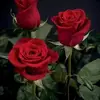Irma Madrigal - @irma.madrigal47 - TikTok