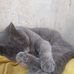 Irma Mainas - Facebook