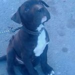 Irma Mancilla - @irma.mancilla.5682 - Instagram