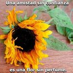 Irma Mancilla - @mancillairma32 - Instagram