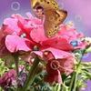 Irma Mariscal Ramirez - @irma.mariscal.ram - TikTok