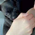 Irma Mason - @mariay6053 - Instagram