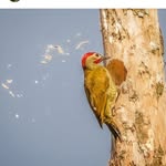 @irmam_ayes - Instagram