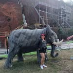 Irma de Mayorga - @irmademayorga - Instagram
