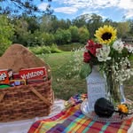Irma Mckinney, Officiant - @findingforever440 - Instagram