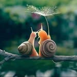Irma Mendiola - @irma.mendiola.144 - Instagram
