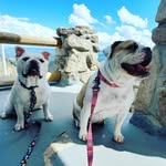 Irma Acosta-Molinar - @cuteyetii_and_cleo - Instagram