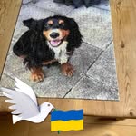 Irma Morris - @weeirma - Instagram