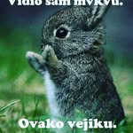 Irma Müller - @irmamuellerr - Instagram