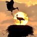 Irma Muller - Facebook