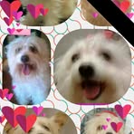 Irma Murillo - Facebook