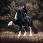 Christin Höhn - @home.of.silver.irma.and.murphy - Instagram