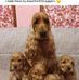 Irma Norman - Facebook