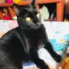 Majo 145 - @irma.pelaez - TikTok