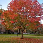 Wanda Irma Powell - @newhavenmom1062 - Instagram