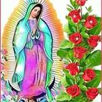 Irma Quintero - @irma.quintero.9843 - Instagram