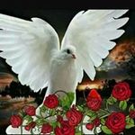 Irma Quintero - @irma.quintero.75685 - Instagram