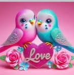 Irma Rendon - Facebook