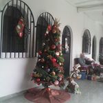 irma amairani maravilla rizo - @irmaamairani - Instagram
