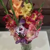 Irma Robinson - @irma.robinson1 - TikTok