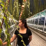 Irma Roselina Sitorus - @irmaroselinas - Instagram