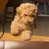Irma Salcedo - @irma.salcedo74 - TikTok