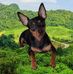 Irma Sepulveda - Facebook