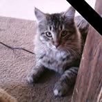 Irma Short - Facebook