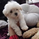 Irma Smith - @irmasmith61 - Instagram