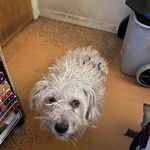 Irma Nowlin - @stokesirma52 - Instagram
