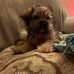 Erma Townsend - Facebook