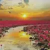 irmatownsendesteb - @irmatownsendesteb - TikTok